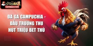 Đá Gà Campuchia