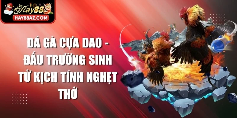 Đá Gà Cựa Dao