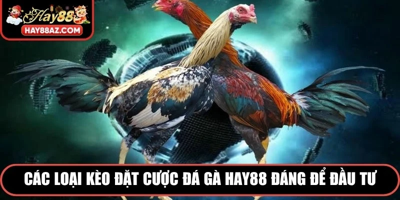 Các loại kèo đặt cược Đá Gà HAY88 đáng để đầu tư 