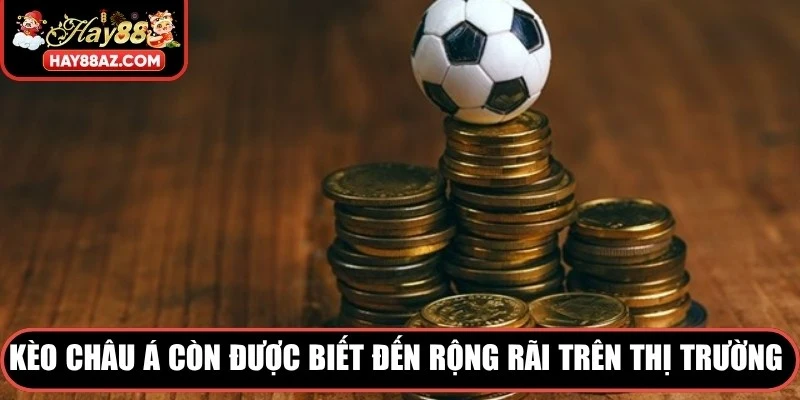 Kèo Châu Á còn được biết đến rộng rãi trên thị trường cá độ 