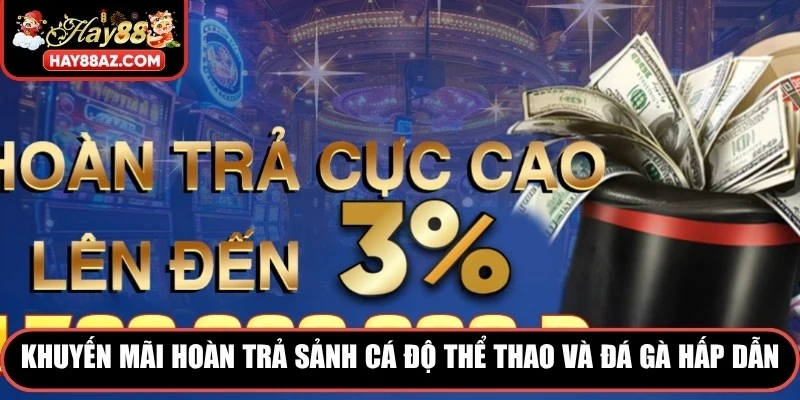Khuyến mãi hoàn trả sảnh cá độ thể thao và đá gà hấp dẫn